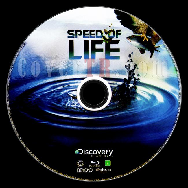 Click image for larger version

Name:	Speed Of Life.jpg
Views:	2
Size:	100.1 KB
ID:	60578