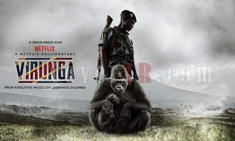 Click image for larger version

Name:	Virunga.jpg
Views:	0
Size:	99.1 KB
ID:	61254