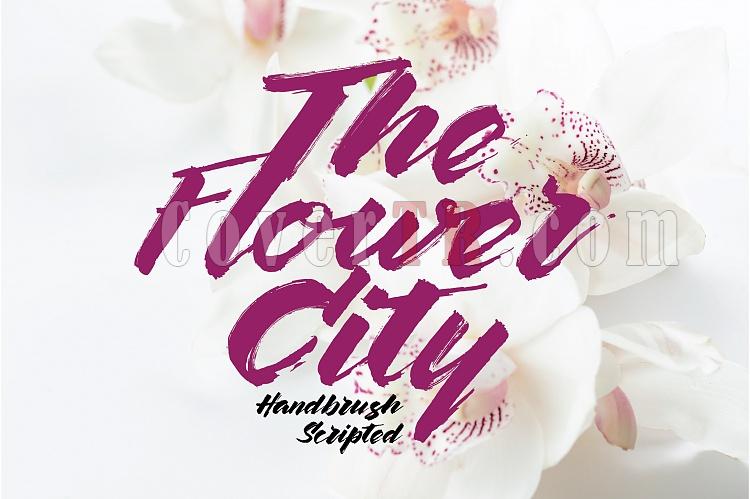 Click image for larger version

Name:	the-flower-city-display-01-o.jpg
Views:	0
Size:	100.5 KB
ID:	61579