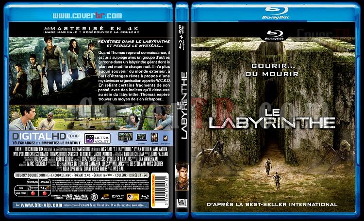 The Maze Runner (Le Labyrinthe) - Custom Bluray Cover - French [2014]-labyrinthe-3173x1762-11mmjpg