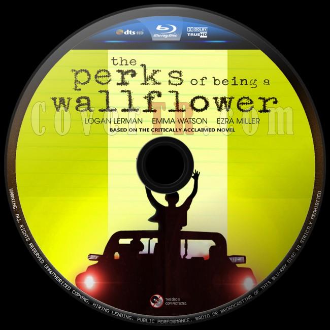 The Perks Of Being A Wallflower (Saks Olmann Faydalar) - Custom Bluray Label - English [2012]-saksi-olmanin-faydalari-4jpg