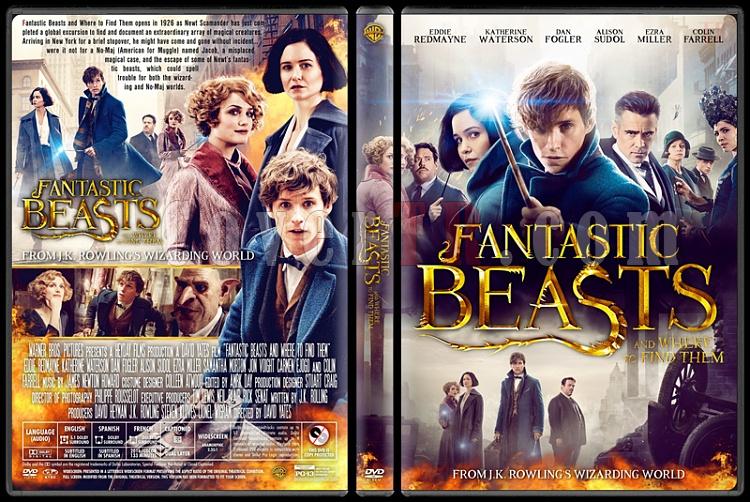 Fantastic Beasts and Where to Find Them - Custom Dvd Cover - English [2016]-v1jpg