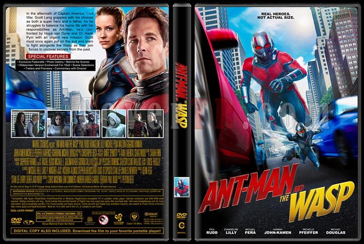 Ant-Man and the Wasp - Custom Dvd Cover - English [2018]-02jpg