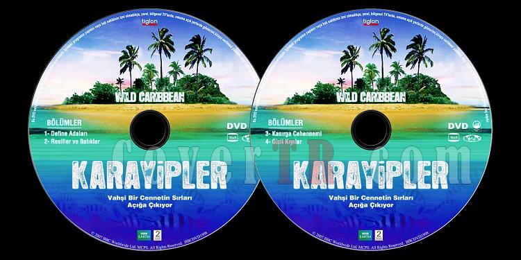 BBC: Wild Caribbean (Karayipler) - Custom Dvd Label Set - Trke [2007]-bbc-earth-karayipler-wild-caribbeanjpg