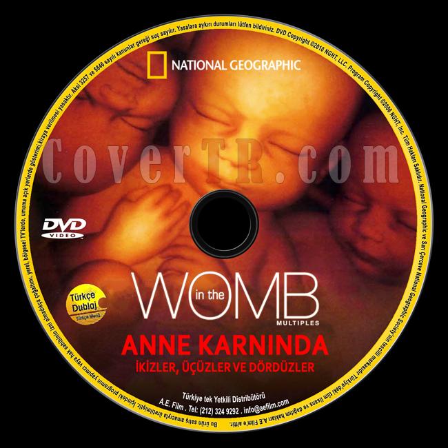 National Geographic: In The Womb Multiples (Anne Karnnda ikizler,zler,Drdzler) - Custom Dvd Label - Trke [2007]-national-geographic-anne-karninda-ikizler-ucuzler-dorduzler-womb-multiplesjpg