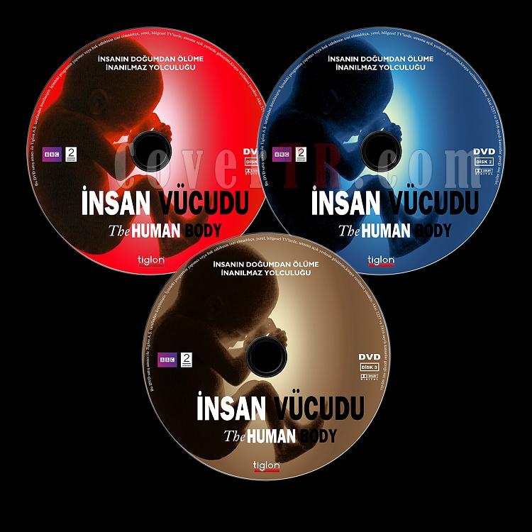 The Human Body (BBC: insan Vcudu) - Custom Dvd Label - Trke [1998]-bbc-insan-vucudu-human-bodyjpg