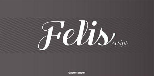 Felis Script Font-789jpg