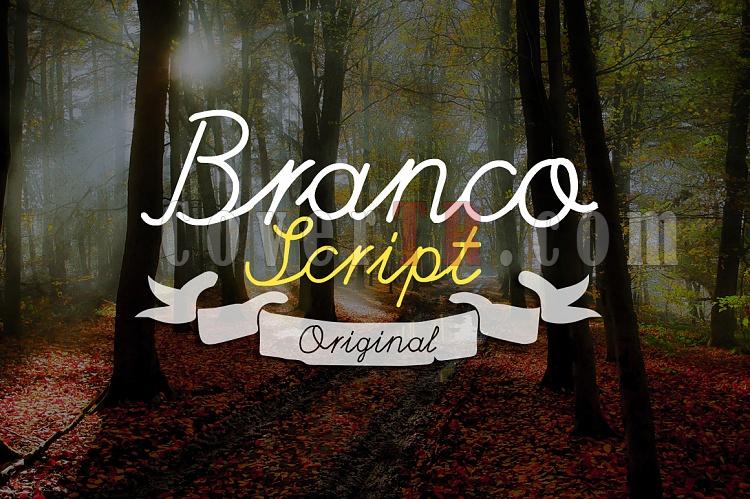 Branco Script Font-display-2-ojpg