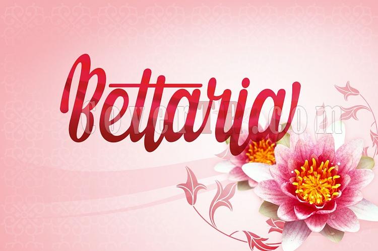 Bettaria Script Font-1jpg