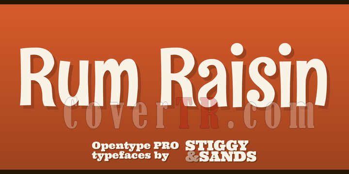 Rum Raisin Pro Font-119409png