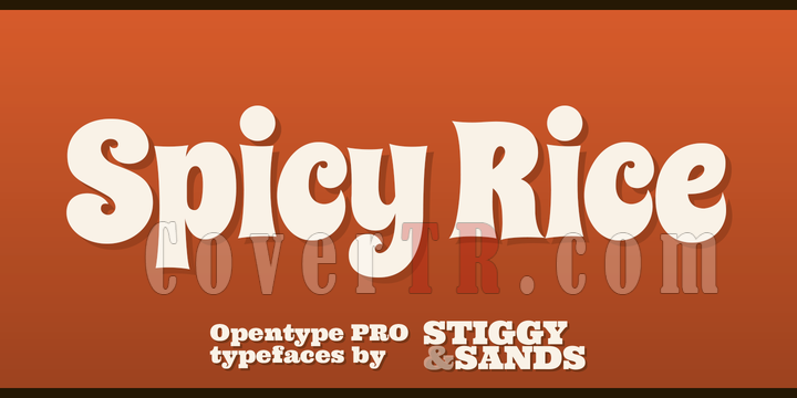 Spicy Rice Pro Font-116177png