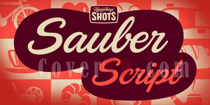 Sauber Script Font-134190jpg