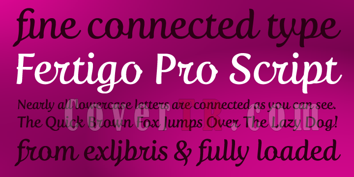 Fertigo Pro Script Font-30278png