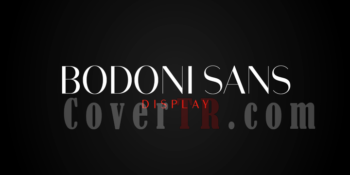 Bodoni Sans Display Font-143424png