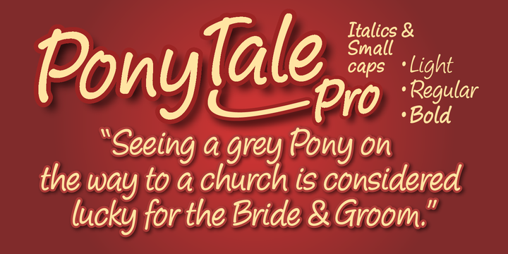 Pony Tale Pro Font-142722jpg