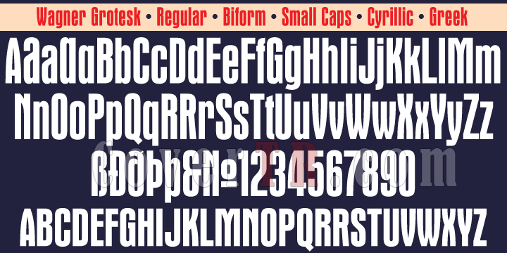 Wagner Grotesk Font-43683png