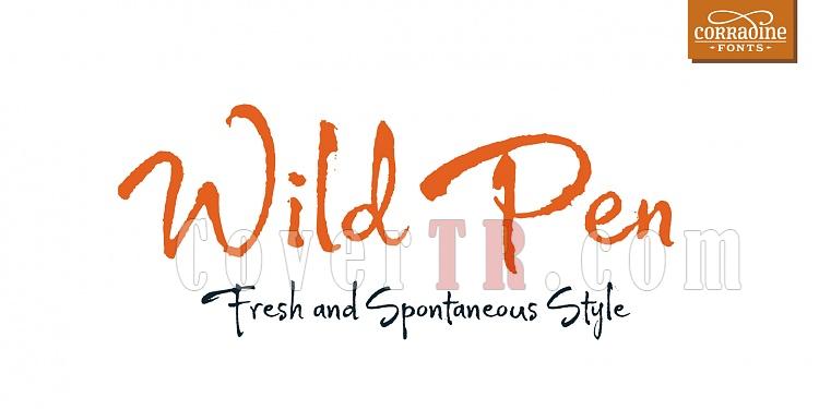Wild Pen Font-140382jpg
