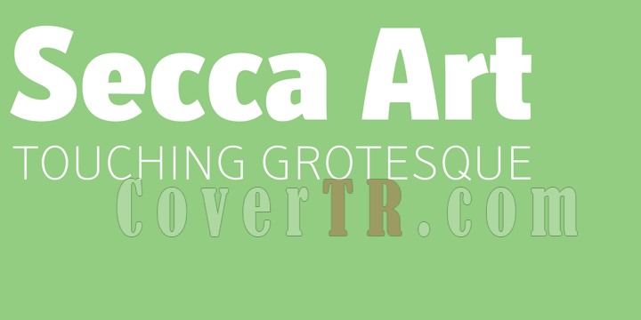 Secca Art Font-170874png