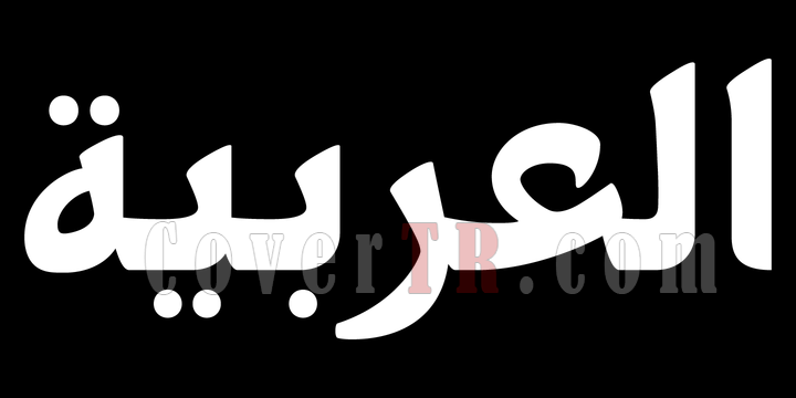 PF Nuyork Arabic Font-125450png