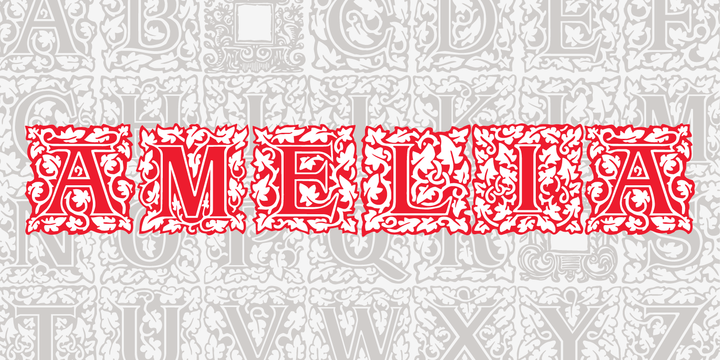 P22 Amelia Font-132239jpg