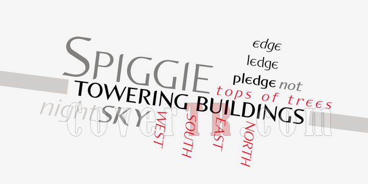 P22 Spiggie Pro Font-128088png