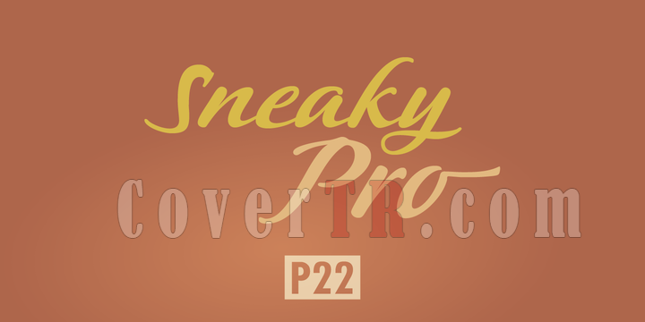 P22 Sneaky Pro Font-123418png