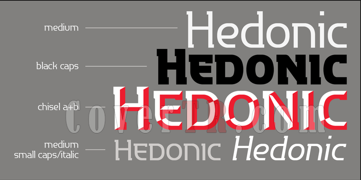 P22 Hedonic Font-128044png