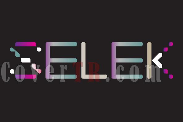 YWFT Selek Font-t0018_01jpg