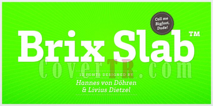 Brix Slab Font-70368jpg