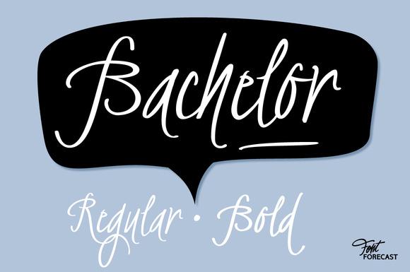 Bachelor Script Font-bachelor_1160x770_01-fjpg