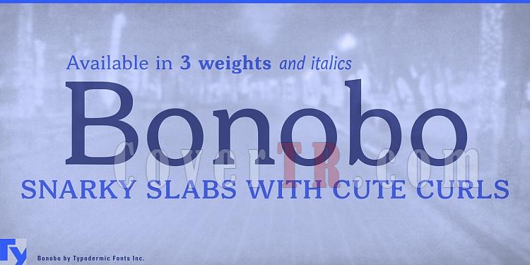 Bonobo Font-184919jpg