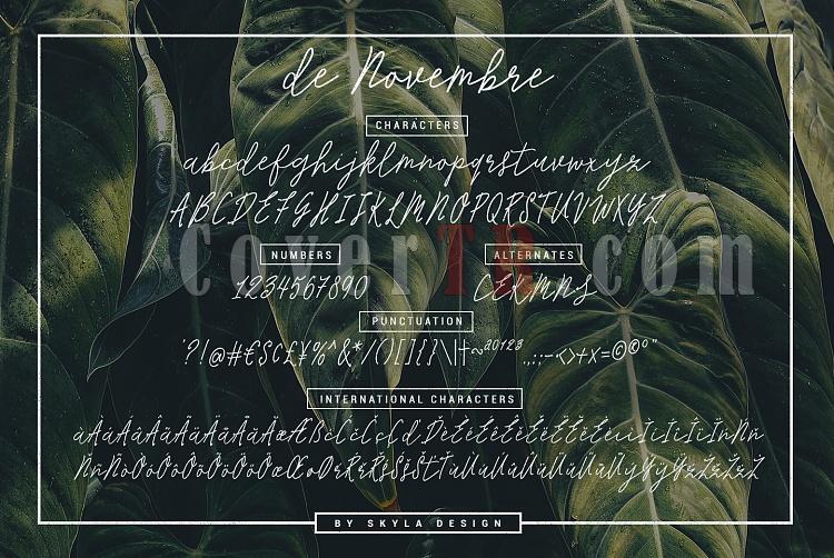 Signature script - de Novembre Font-de_novembre_font_monoline_signature_script6-ojpg