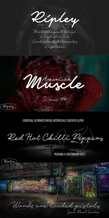 Ripley Font-coverjpg