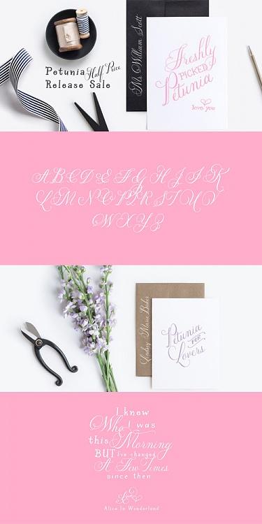 Petunia Font-coverjpg