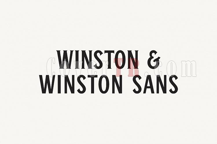Winston - Winston Sans Family Font-wwsposters-02-jpg
