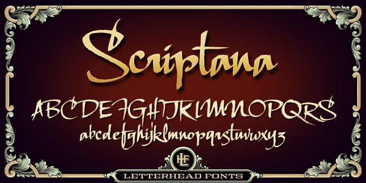 LHF Scriptana Font Family-58453jpg