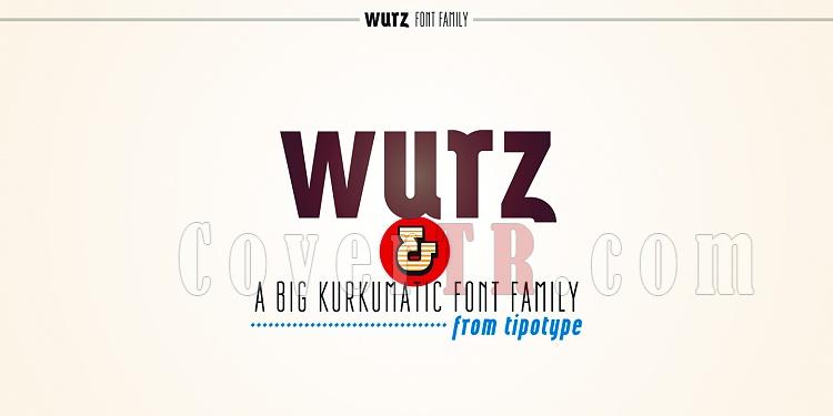 Wurz Font Family-108714jpg