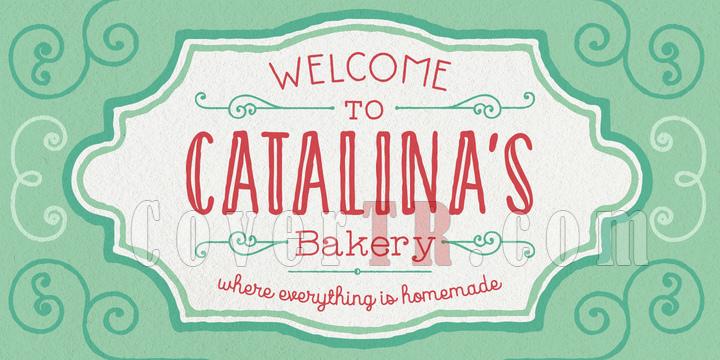 Catalina Font Family-151885jpg