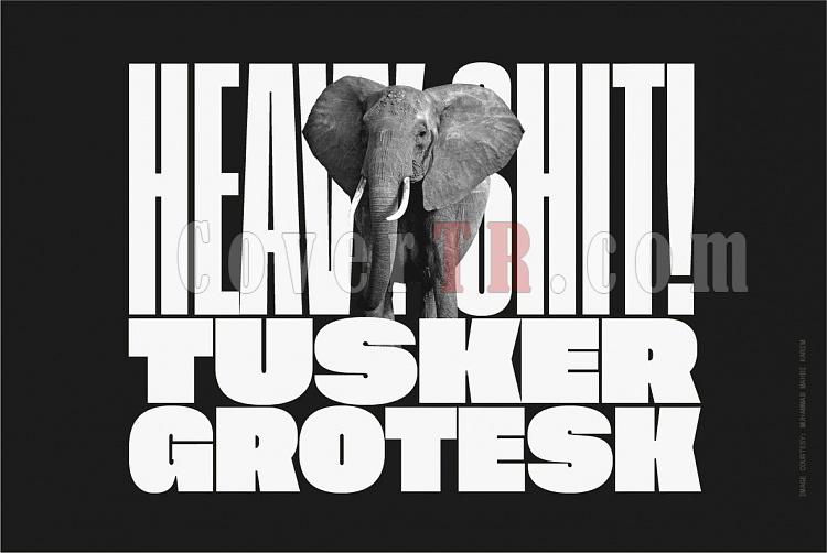 Tusker Grotesk Font Family-t8377_00jpg