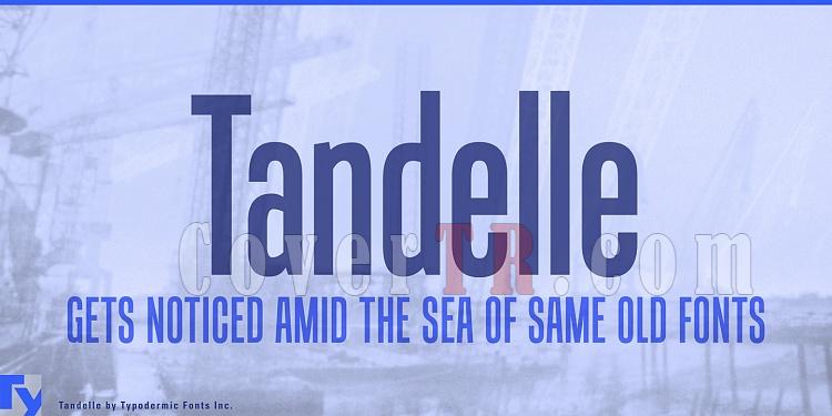 Tandelle (Typodermic)-184695jpg