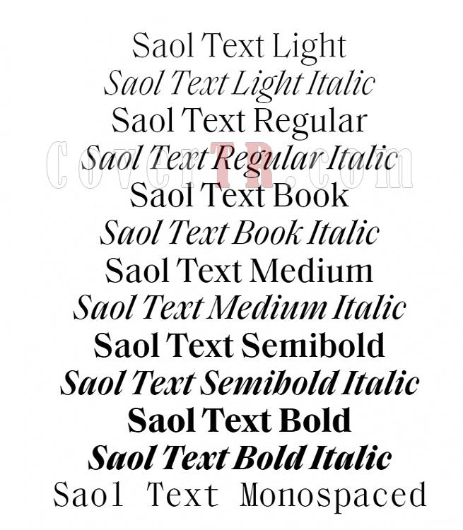 Saol Text - Saol Display (schick-toikka)-4521jpg