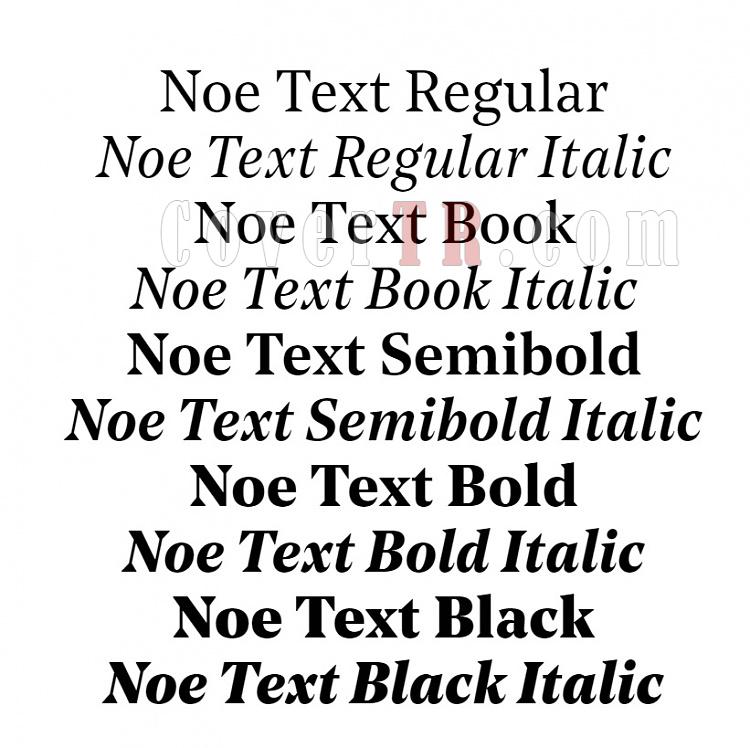 Noe Text - Noe Display (schick-toikka)-7877jpg