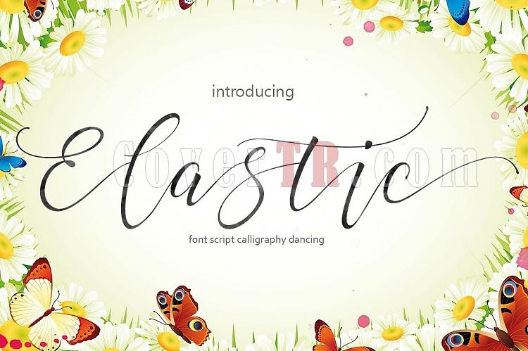 Elastic Script Font-1-jpg