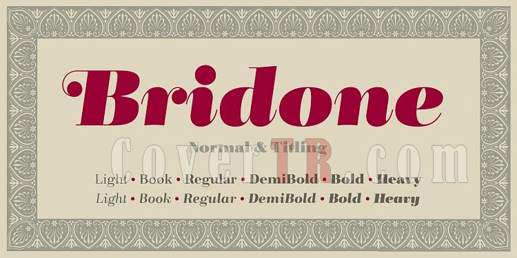 Bridone (Tipo Ppel)-129773jpg