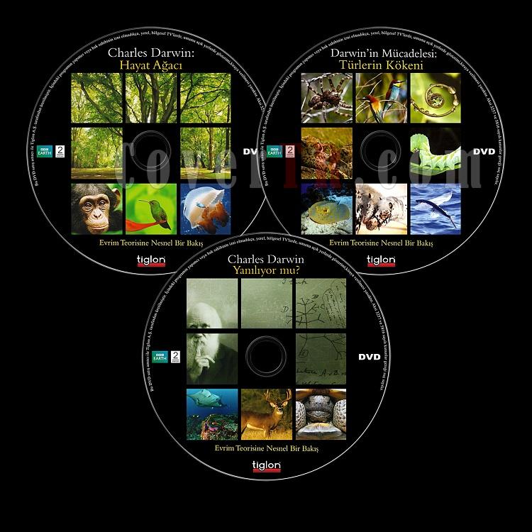 The Evolution Of The Origin Of Species (BBC:Trlerin Kkeni) - Scan Dvd Label - Trke [2009]-bbc-turlerin-kokeni-evolution-origin-speciesjpg