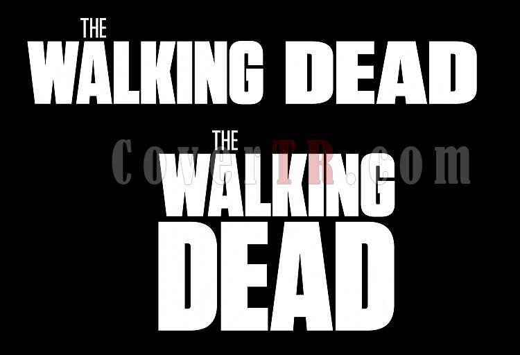 Walking Dead, The [2010-?]-walking-deadjpg