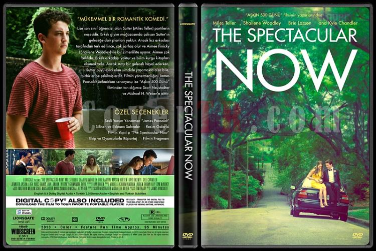 The Spectacular Now - Custom Dvd Cover - Trke [2013]-covertr-dvdjpg