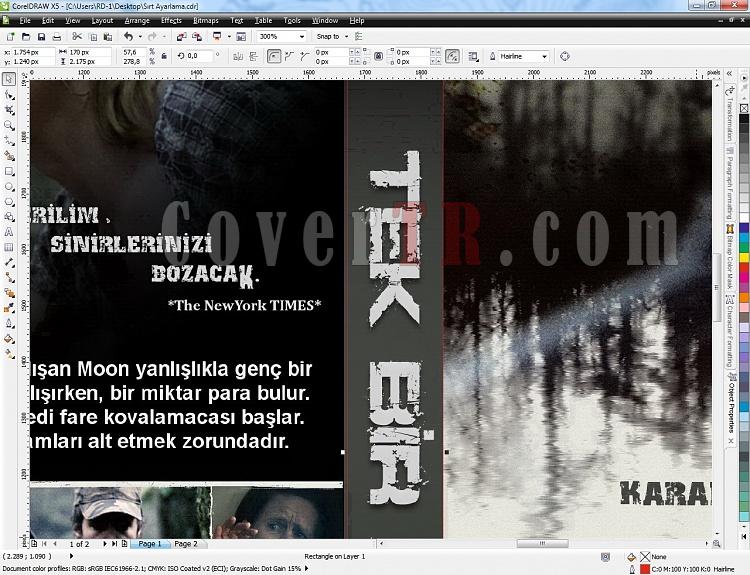 A Single Shot Tek Bir At 2013 Trke Tasarm DVD Cover-sirt-hatajpg